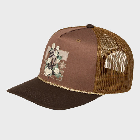GORRA DC THEO (CQF0) BROWN