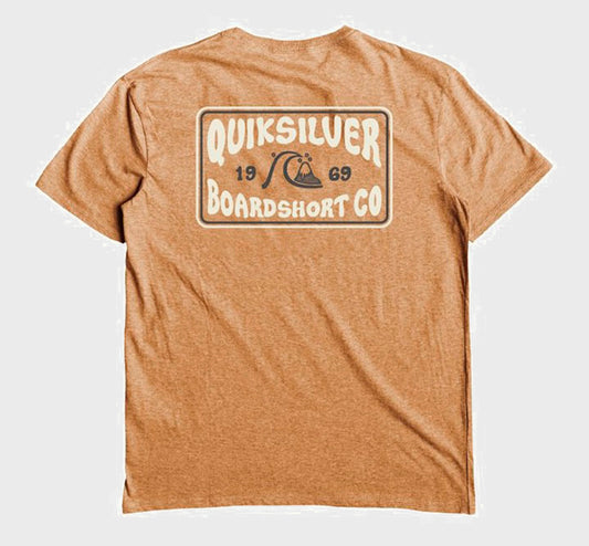REMERA QUIKSILVER LINE BY LINE MOD (AMA)