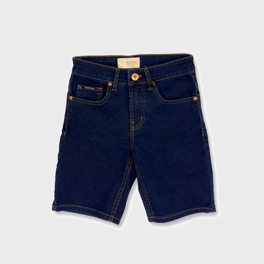 BERMUDA QUIKSILVER DISTORTION BOLT STONE KIDS