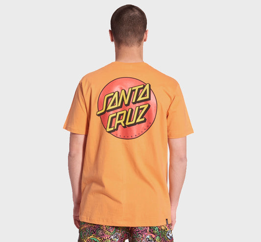 REMERA SANTA CRUZ REGULAR ASSORTED IA