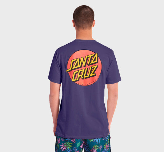 REMERA SANTA CRUZ REGULAR ASSORTED IH
