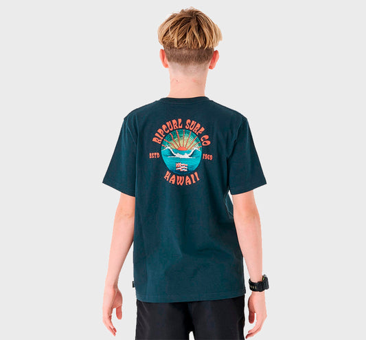 REMERA RIP CURL NEW DESTO JF