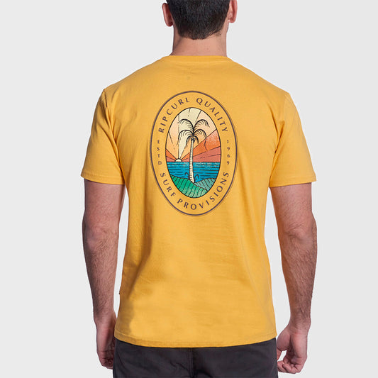 REMERA RIP CURL REGULAR GP 3539