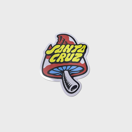 CALCO SANTA CRUZ XL