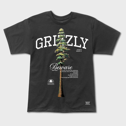 REMERA GRIZZLY TALLEST PINE TARMAC