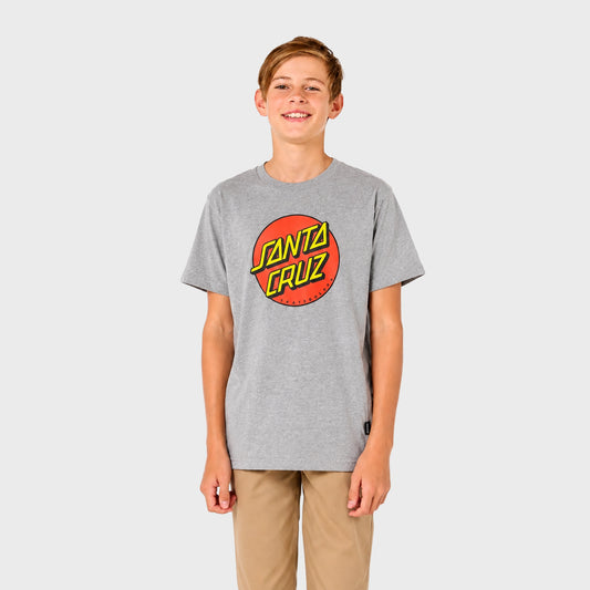 Remera Santa cruz para niño Gris