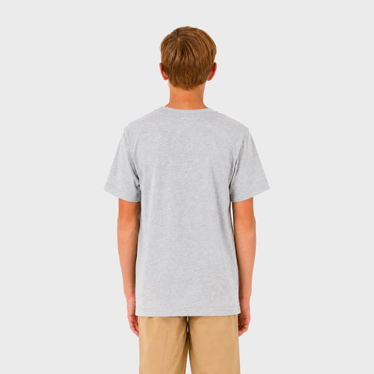 Remera Etnies Triblend Ss Grey