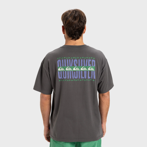 REMERA QUIKSILVER WORLD FORCE GREY (KRP0)